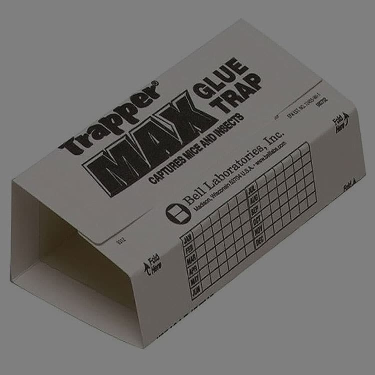 Trapper-Max-Sticky-Traps