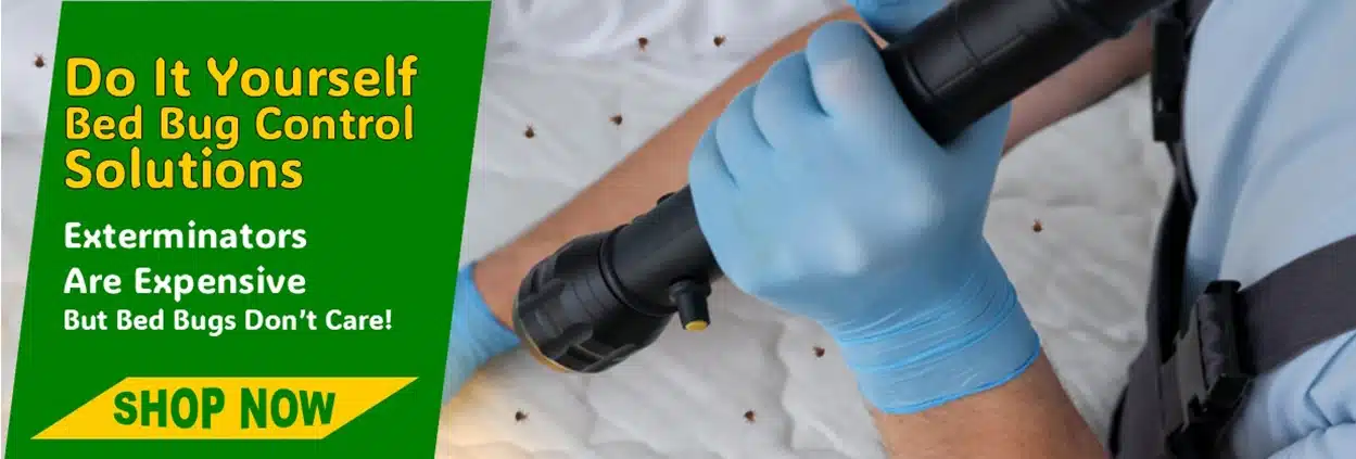 DIY Bed Bug Control Products