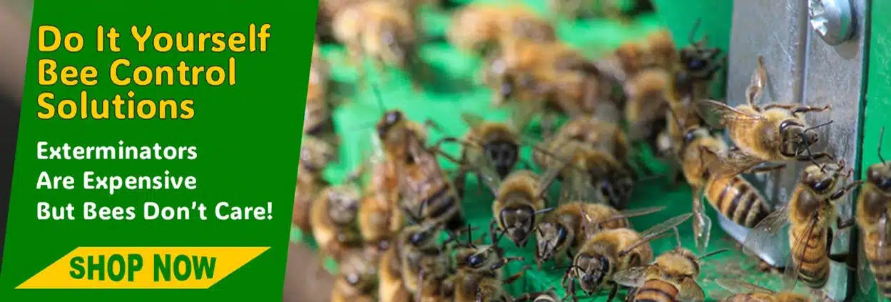 DIY Bee Control Products