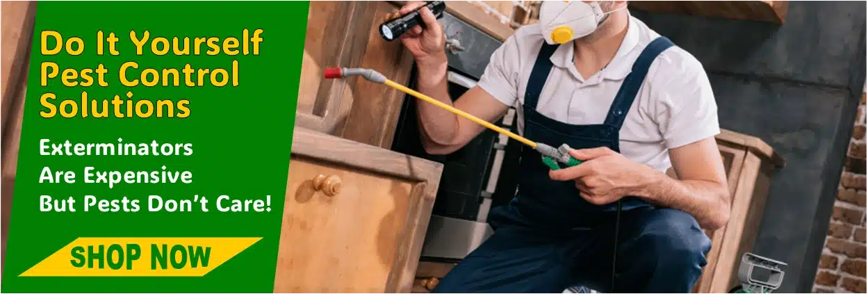 DIY Pest Control Stores