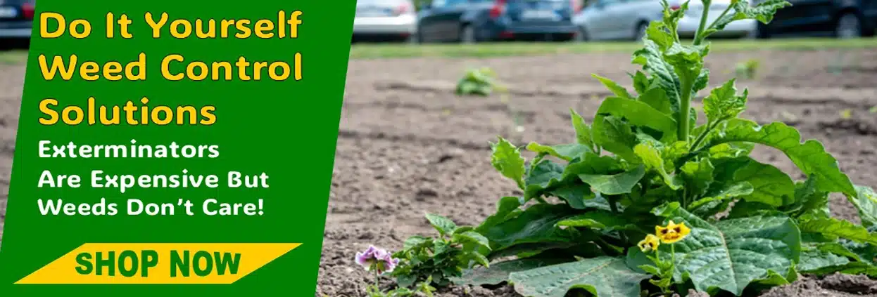 DIY Weed Control Products