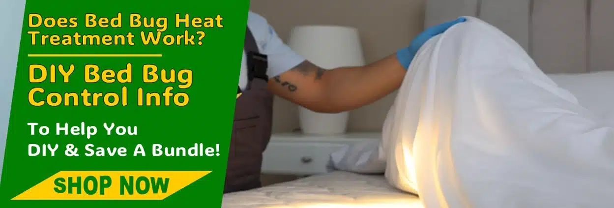 Does Bed Bug Heat Treatment Work Does Bed Bug Heat Treatment Work