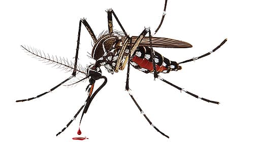 Shop For DIY Mosquito Control Products